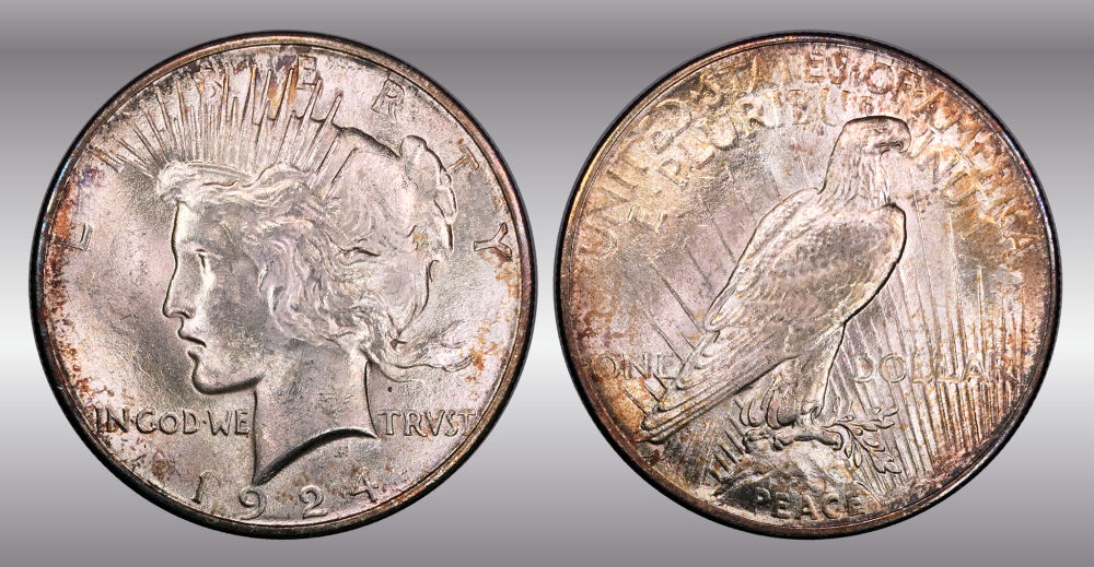 My-Raw-Peace-Dollar-Collection.-.-.-.-Warning!